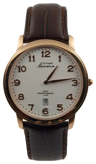 Wrist watch Sputnik NM-1E684/8 bel. for Men - picture, photo, image