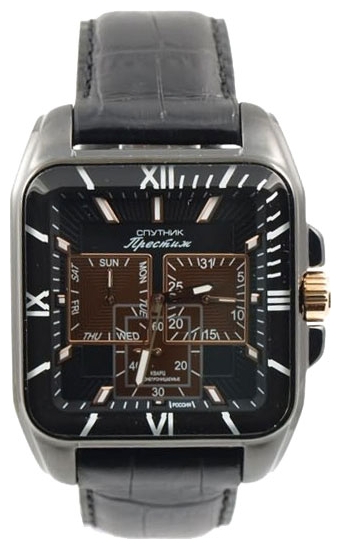 Wrist watch Sputnik NM-1N224/3 cher. for Men - picture, photo, image