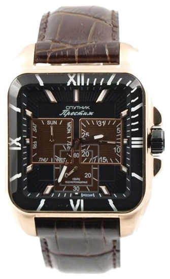 Wrist watch Sputnik NM-1N224/8 cher. for men - picture, photo, image