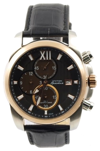 Wrist watch Sputnik NM-1N904/6 cher. for Men - picture, photo, image