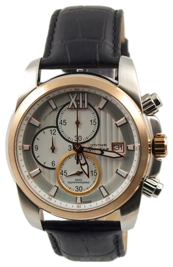 Wrist watch Sputnik NM-1N904/6 stal for Men - picture, photo, image