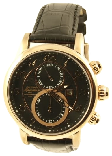 Wrist watch Sputnik NM-1S984/8 cher. for Men - picture, photo, image