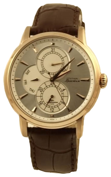 Wrist watch Sputnik NM-1V214/8 stal for Men - picture, photo, image