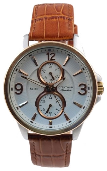 Wrist watch Sputnik NM-81612/6 bel for men - picture, photo, image