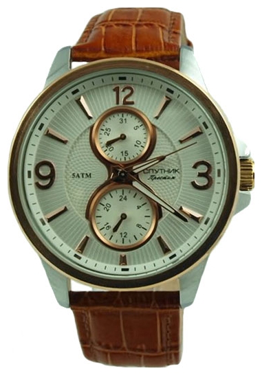 Wrist watch Sputnik NM-81612/6 stal for Men - picture, photo, image