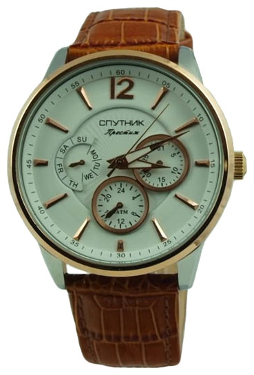 Wrist watch Sputnik NM-81614/6 bel. for men - picture, photo, image