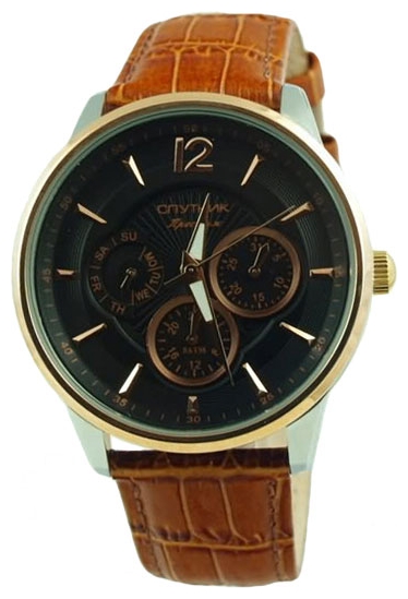Wrist watch Sputnik NM-81614/6 cher. for men - picture, photo, image