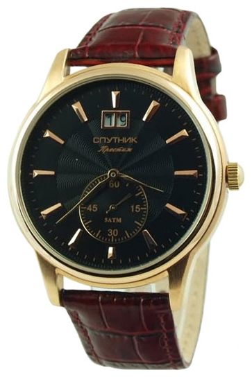 Wrist watch Sputnik NM-81616/8 cher. for men - picture, photo, image