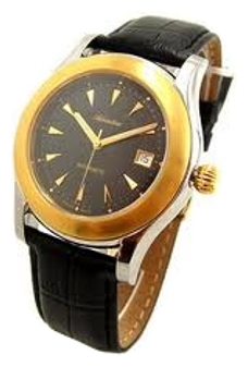 Wrist watch Adriatica 8118.2214A for Men - picture, photo, image