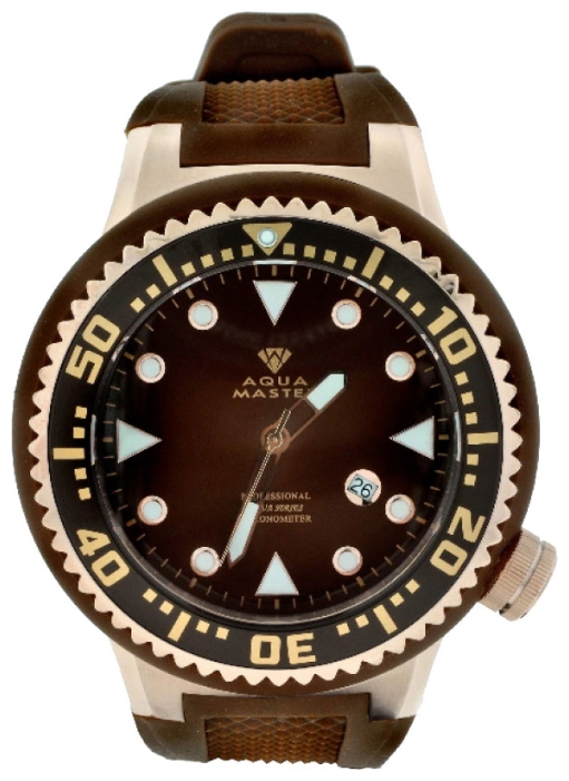Wrist watch Aqua Master AQ-LG BR for men - picture, photo, image