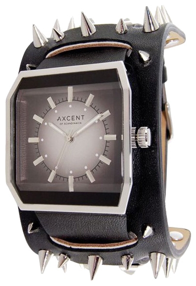 Wrist unisex watch Axcent X17023-237 - picture, photo, image