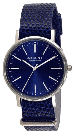 Wrist unisex watch Axcent X99004-18 - picture, photo, image