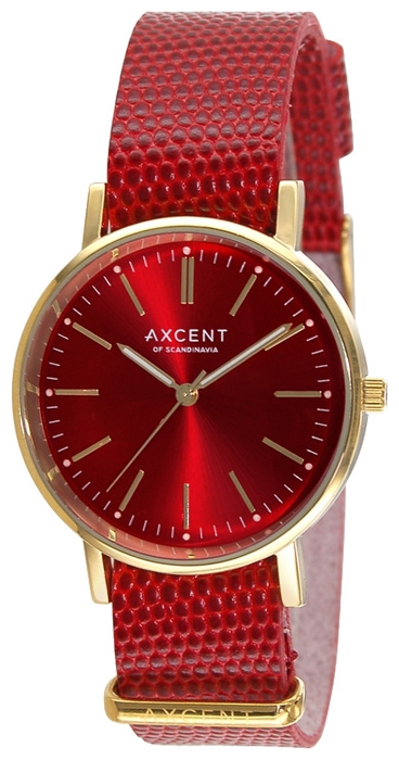 Wrist unisex watch Axcent X99008-19 - picture, photo, image