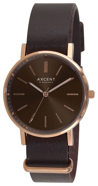 Wrist unisex watch Axcent X9900R-16 - picture, photo, image