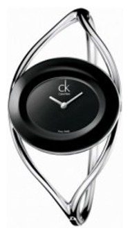 Wrist watch Calvin Klein K1A231.02 for women - picture, photo, image