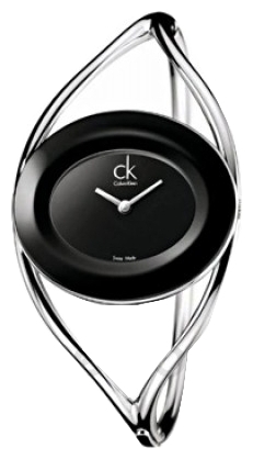 Wrist watch Calvin Klein K1A236.02 for women - picture, photo, image