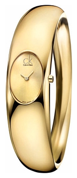 Wrist watch Calvin Klein K1Y222.09 for women - picture, photo, image