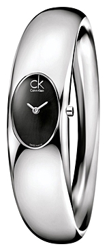 Wrist watch Calvin Klein K1Y231.02 for women - picture, photo, image