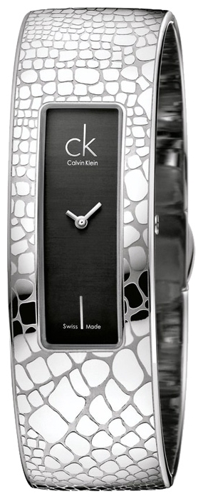 Wrist watch Calvin Klein K20221.07 for women - picture, photo, image