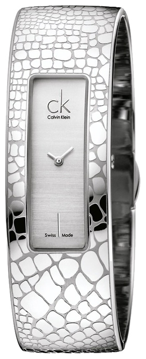 Wrist watch Calvin Klein K20221.20 for women - picture, photo, image