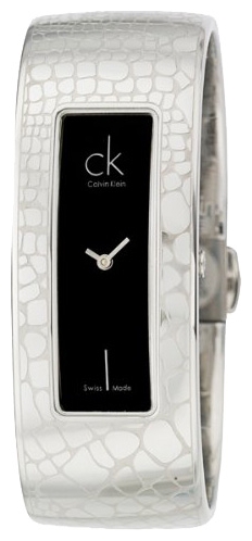 Wrist watch Calvin Klein K20241.07 for women - picture, photo, image