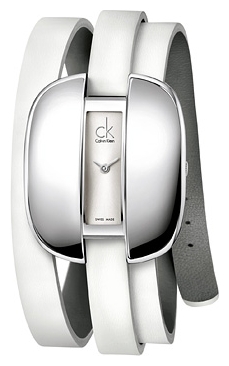 Wrist watch Calvin Klein K2E231.20 for women - picture, photo, image