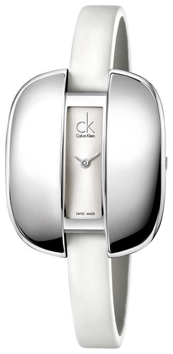 Wrist watch Calvin Klein K2E231.26 for women - picture, photo, image