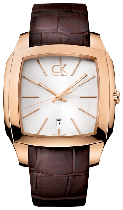 Wrist watch Calvin Klein K2K216.20 for men - picture, photo, image