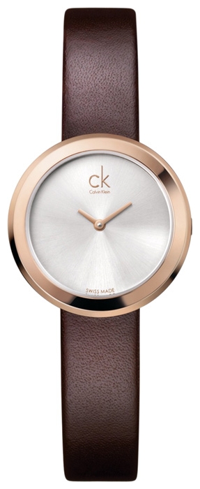 Wrist watch Calvin Klein K3N236.G6 for women - picture, photo, image