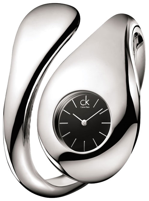 Wrist watch Calvin Klein K54241.02 for women - picture, photo, image