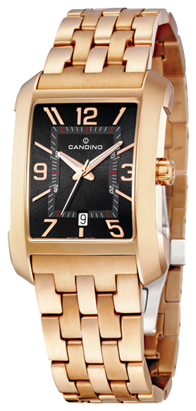 Wrist watch Candino C4378 2 for Men - picture, photo, image