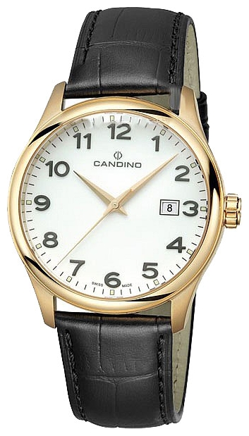 Wrist watch Candino C4457 1 for Men - picture, photo, image