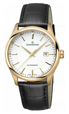 Wrist watch Candino C4459 2 for Men - picture, photo, image