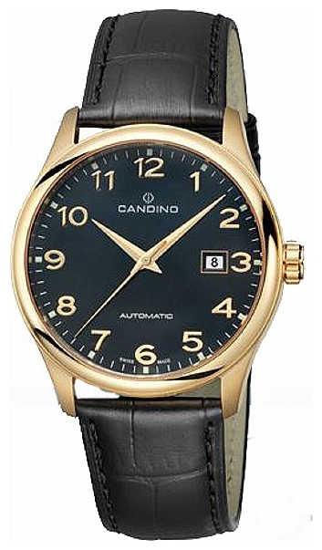 Wrist watch Candino C4459 4 for Men - picture, photo, image
