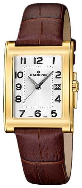 Wrist watch Candino C4461 5 for Men - picture, photo, image