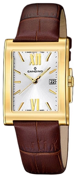 Wrist watch Candino C4461 7 for Men - picture, photo, image