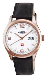 Wrist watch Chrono 20009RPL-2L for Men - picture, photo, image