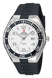 Wrist watch Chrono 20029ST-2RUB for Men - picture, photo, image