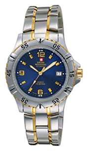 Wrist watch Chrono 20032BI-6M for Men - picture, photo, image