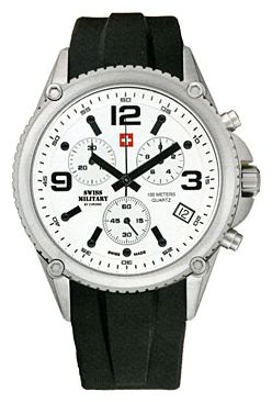 Wrist watch Chrono 20078ST-2RUB for men - picture, photo, image