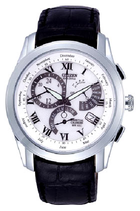 Wrist watch Citizen BL8001-01A for Men - picture, photo, image