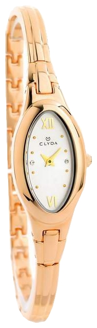 Wrist watch Clyda CLB0101UBRW for women - picture, photo, image