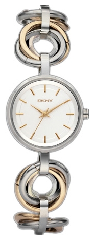 Wrist watch DKNY NY8022 for women - picture, photo, image