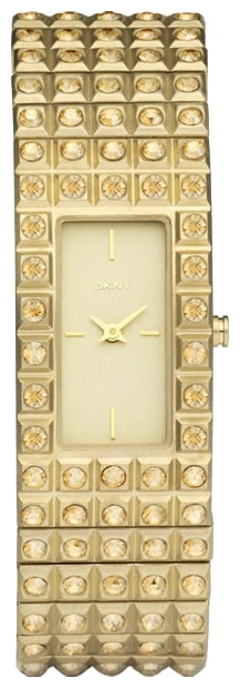 Wrist watch DKNY NY8245 for women - picture, photo, image