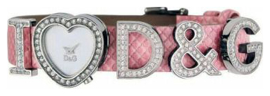Wrist watch Dolce&Gabbana DG-DW0006 for women - picture, photo, image