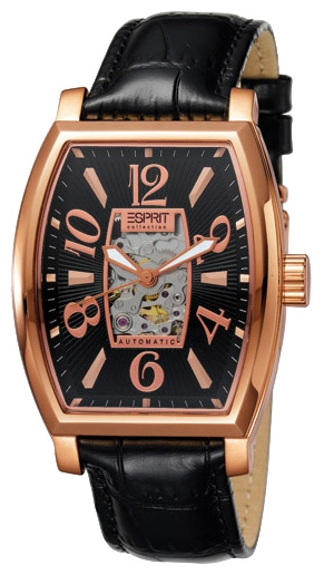Wrist watch Esprit EL900191003U for men - picture, photo, image