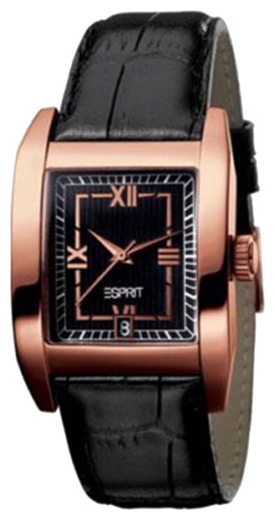 Wrist unisex watch Esprit ES100341008 - picture, photo, image