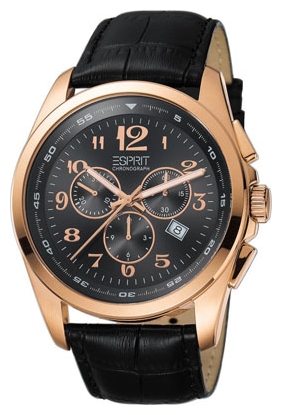 Wrist watch Esprit ES102201003 for men - picture, photo, image