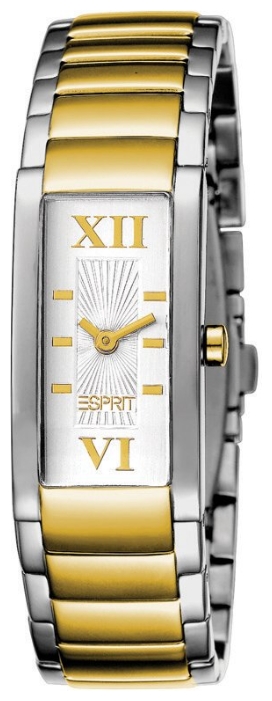 Wrist watch Esprit ES102902001 for women - picture, photo, image