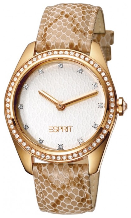 Wrist watch Esprit ES103092004 for women - picture, photo, image